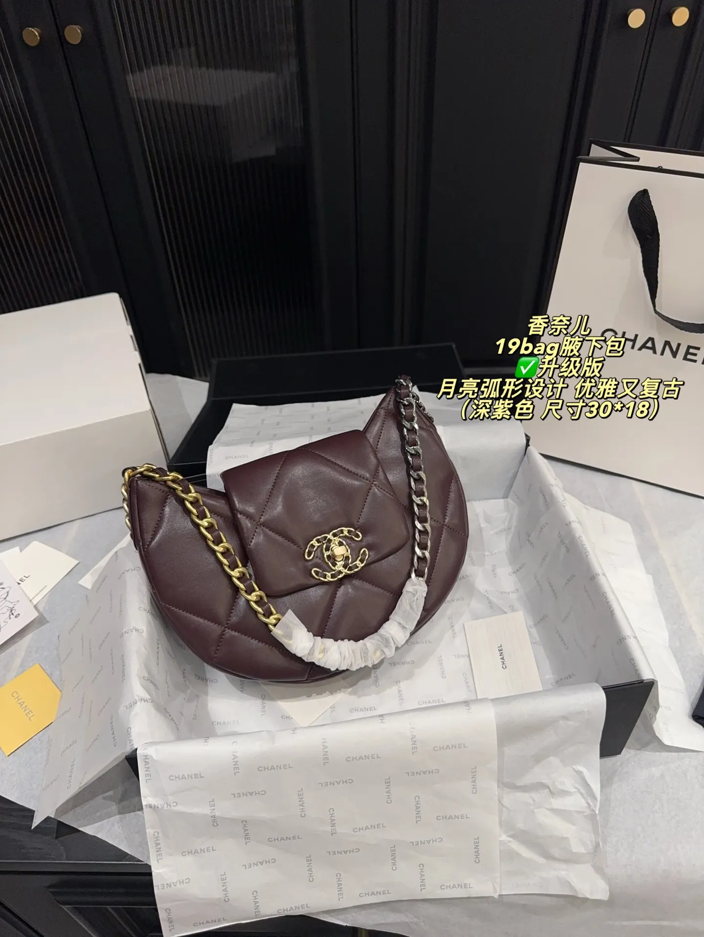 Chanel 19 Bag Quilted Shoulder Bag D31017926 — view 19
