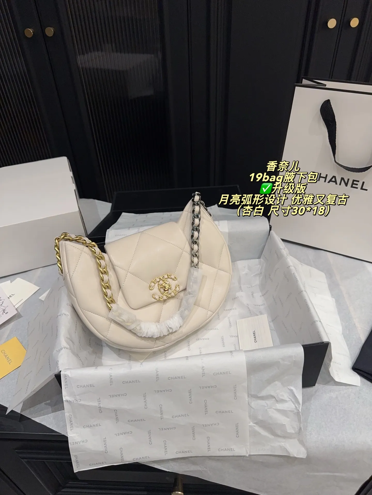 Chanel 19 Bag Quilted Shoulder Bag D31017926 — view 20