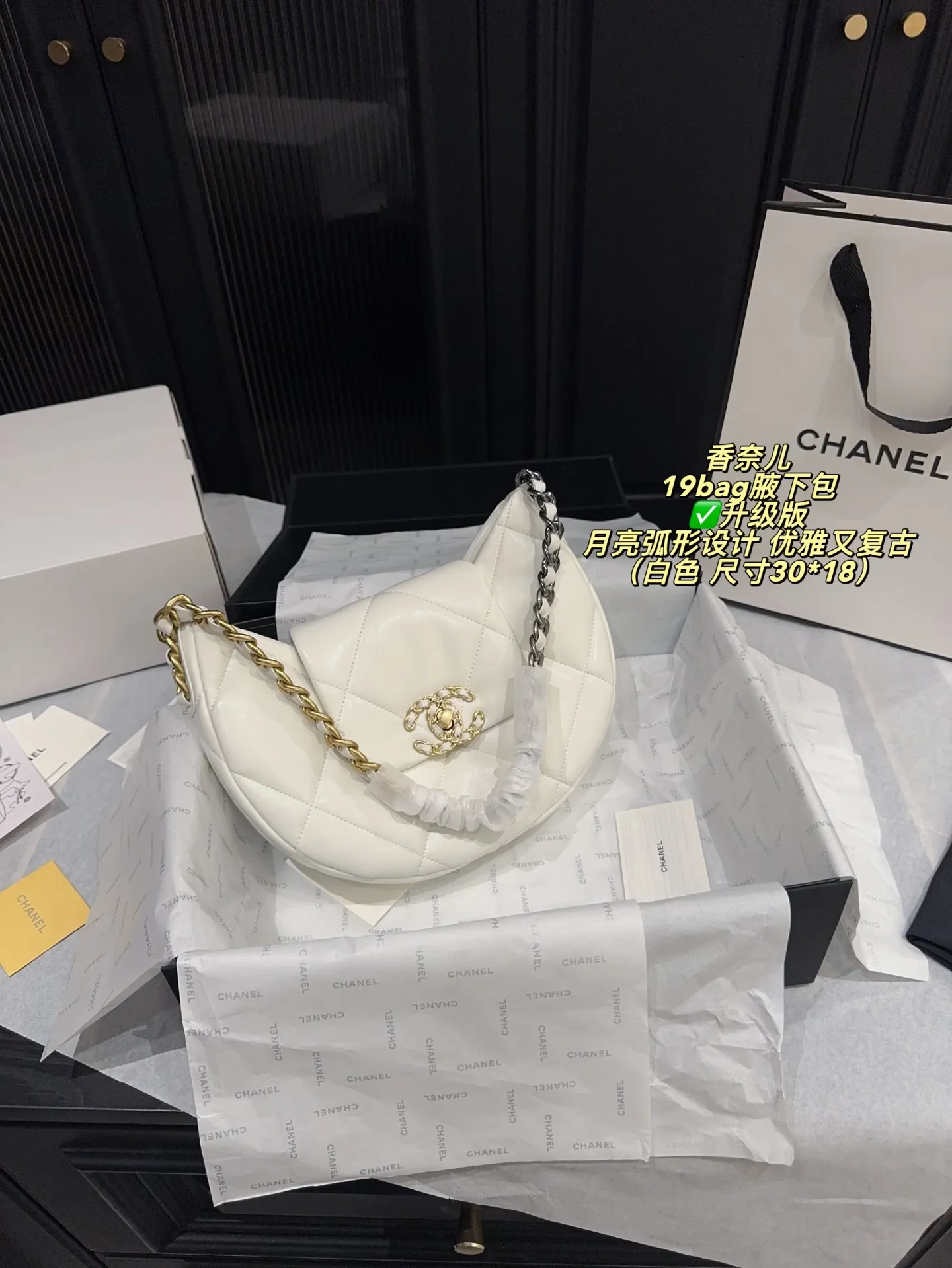 Chanel 19 Bag Quilted Shoulder Bag D31017926 — view 21