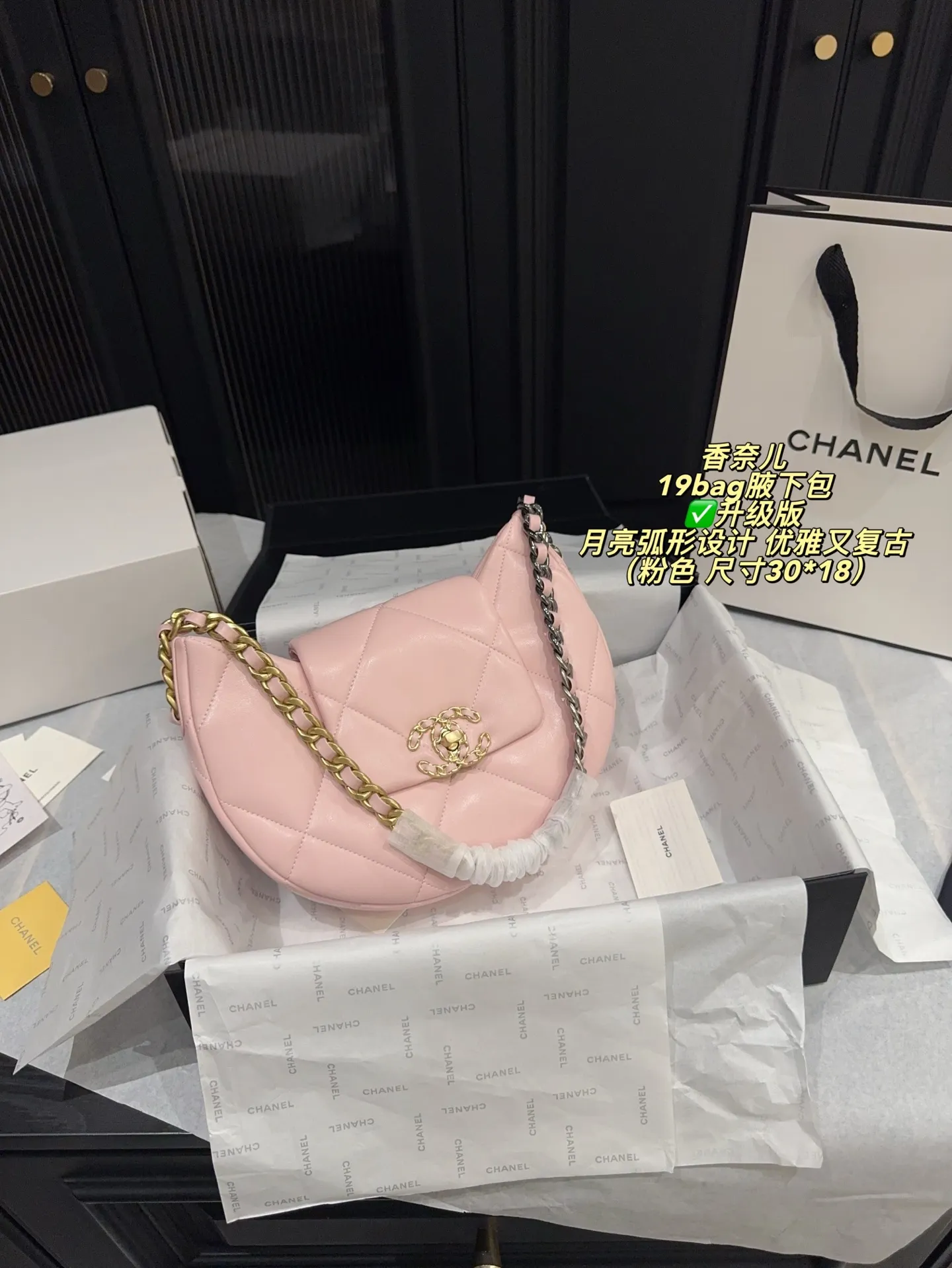Chanel 19 Bag Quilted Shoulder Bag D31017926 — view 22
