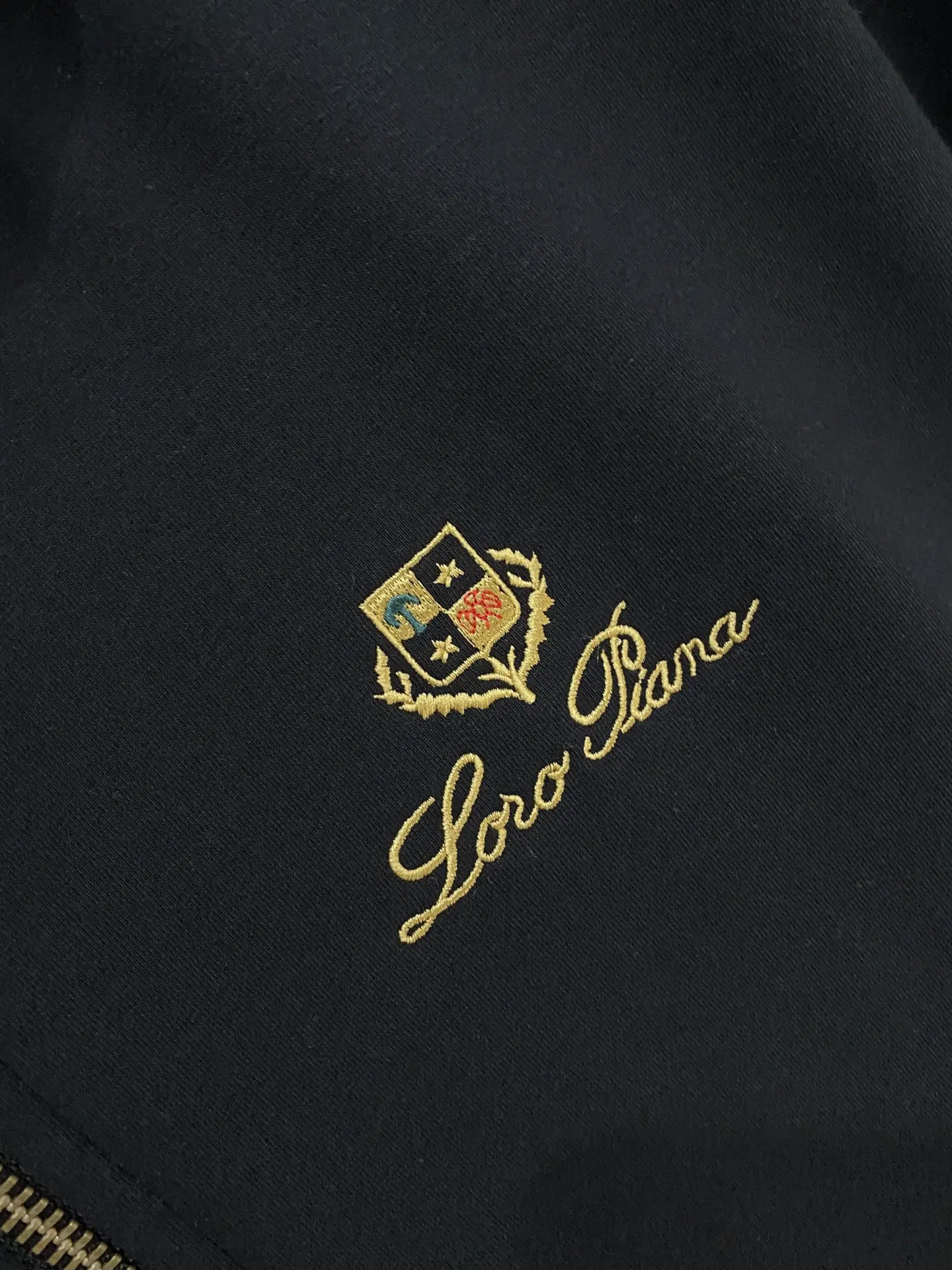 Embroidered Scuba Zip-Up Hoodie D19522780 — view 5