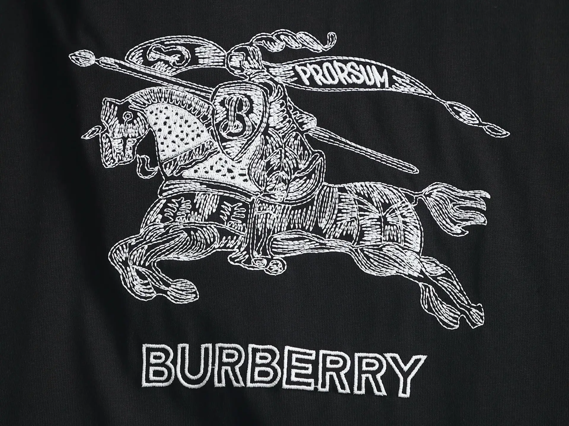 Embroidered Equestrian Knight Logo T-Shirt D13521474 — view 4