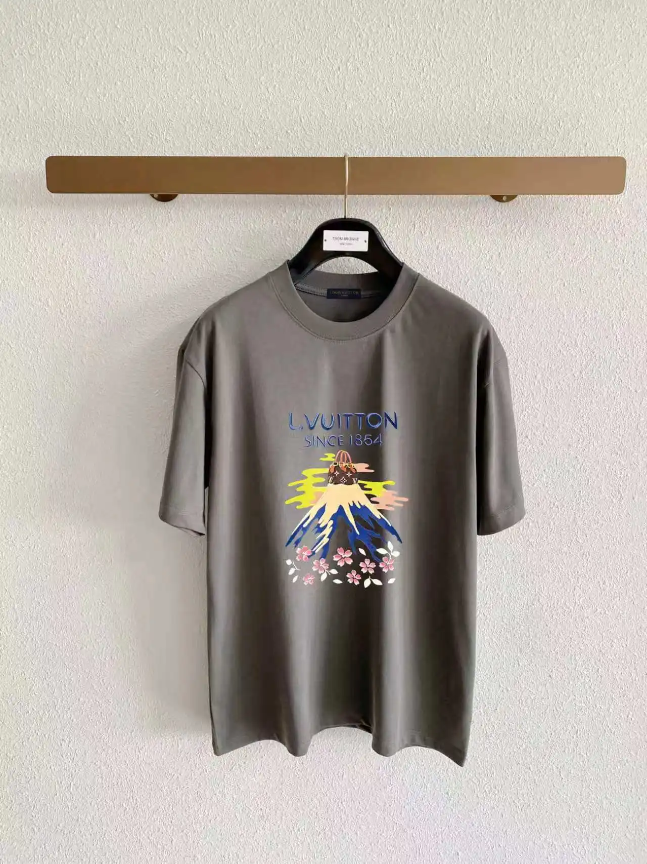 Mount Fuji Graphic Print Cotton T-Shirt D13521615