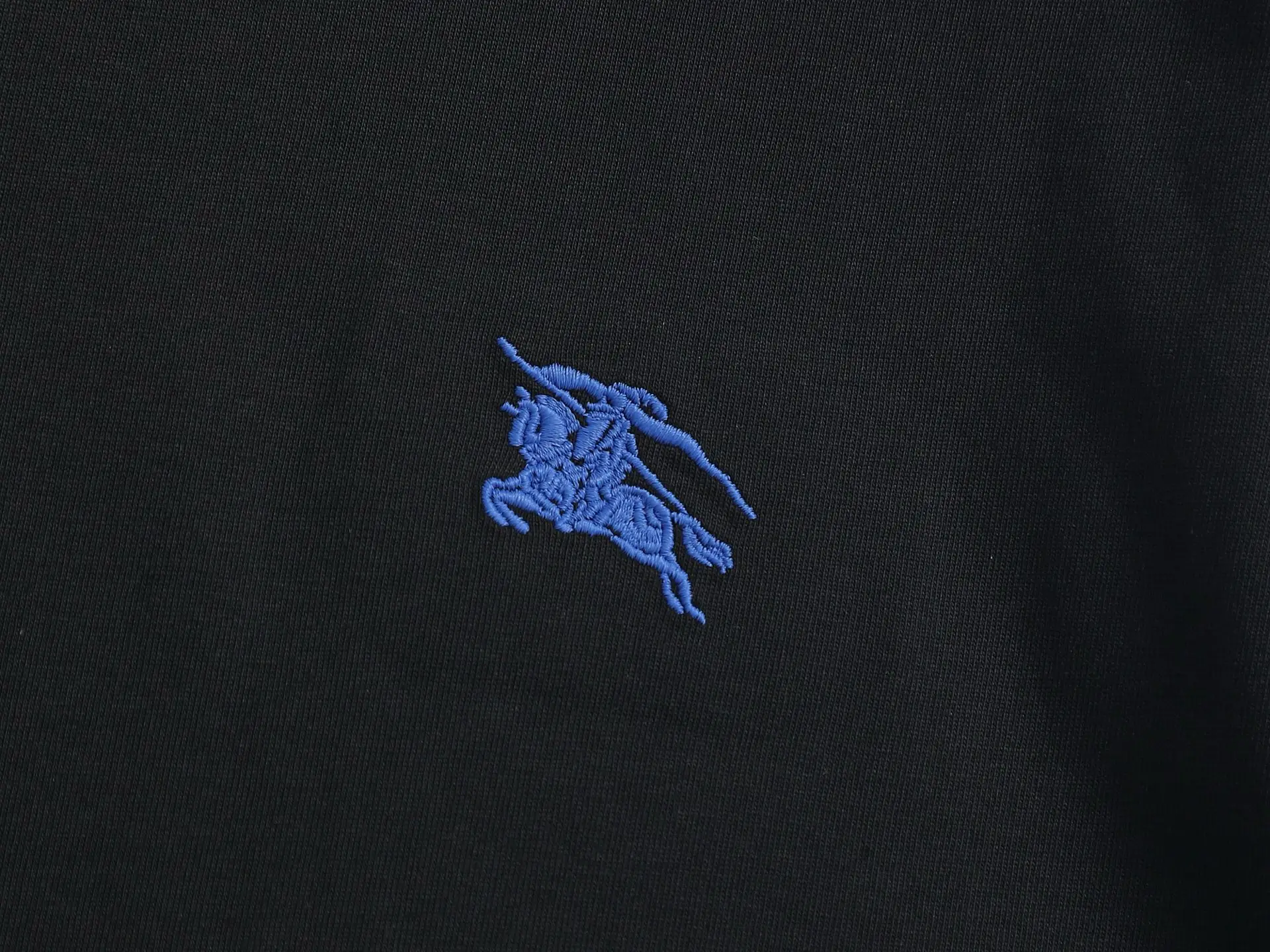 Embroidered Equestrian Knight Logo Cotton T-Shirt D13521468 — view 4