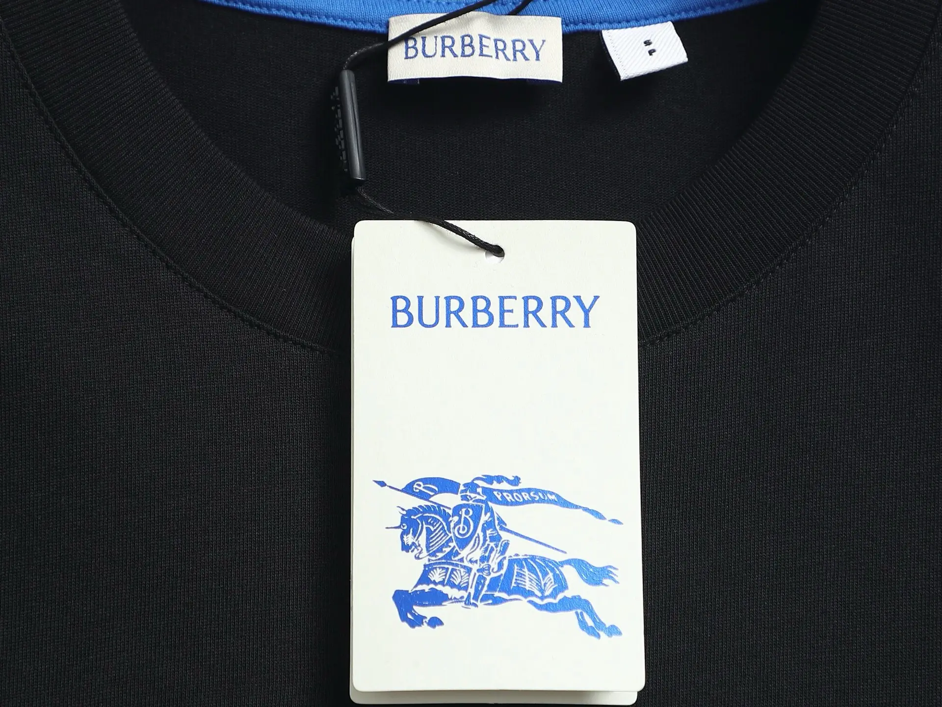 Embroidered Equestrian Knight Logo Cotton T-Shirt D13521468 — view 5