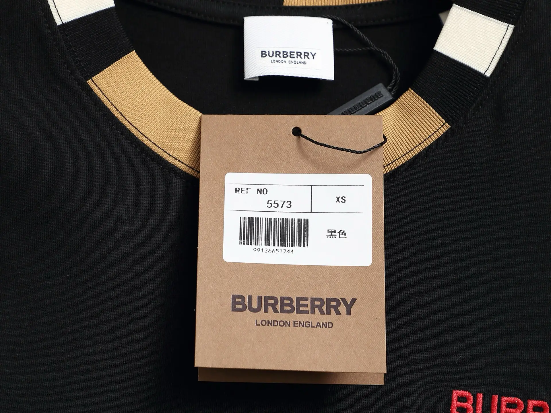 Check-Trim Logo Embroidery Cotton T-Shirt D13521469 — view 6