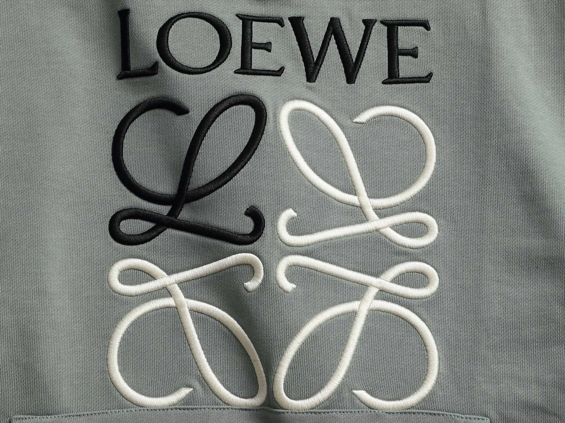 Anagram Logo Embroidered Cotton Hoodie D19023298 — view 6