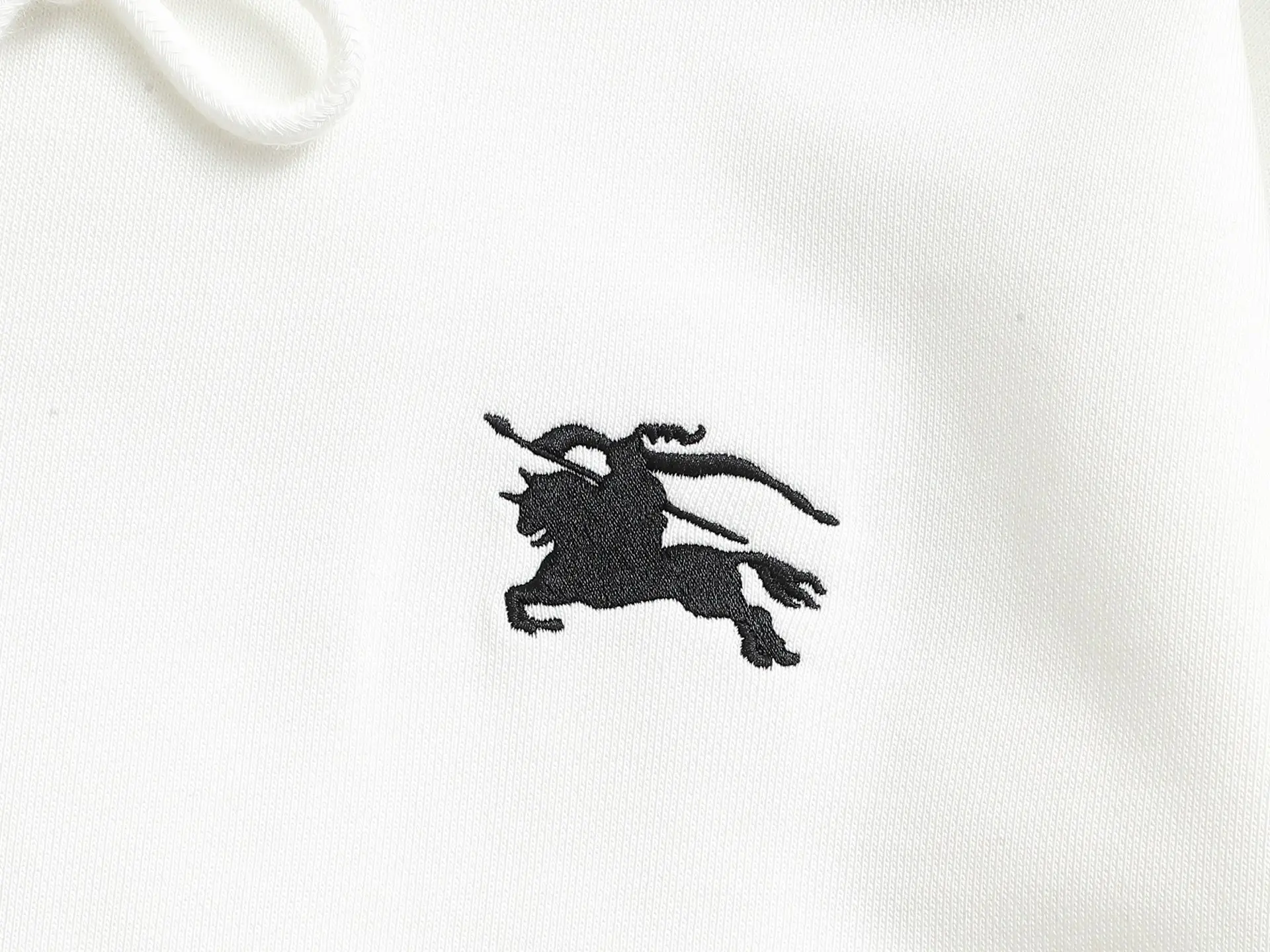 EKD Logo Embroidered Cotton Hoodie D19023278 — view 6