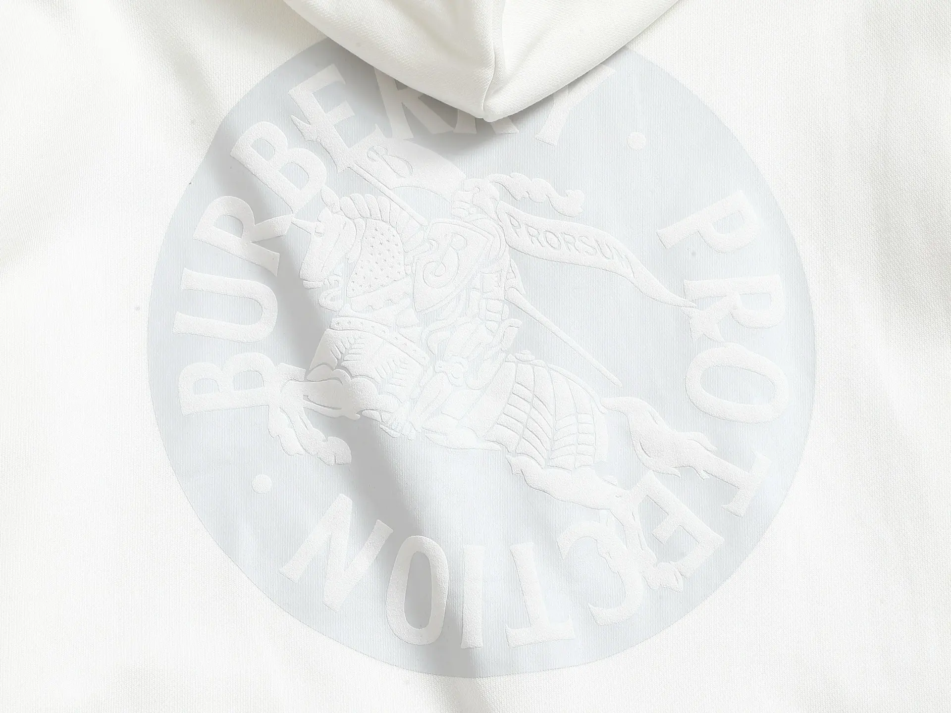 EKD Logo Embroidered Cotton Hoodie D19023278 — view 11