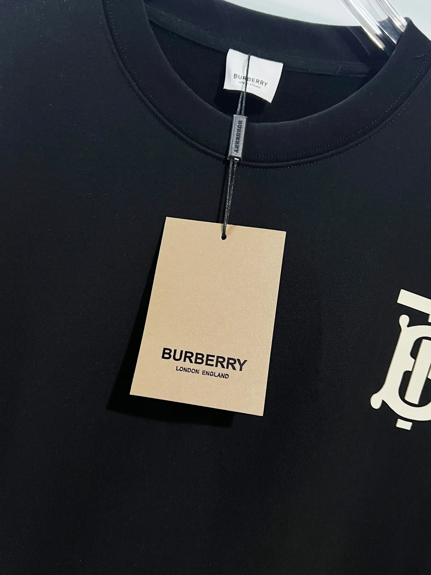 TB Monogram Logo Crew-Neck Sweatshirt D19024170 — view 5