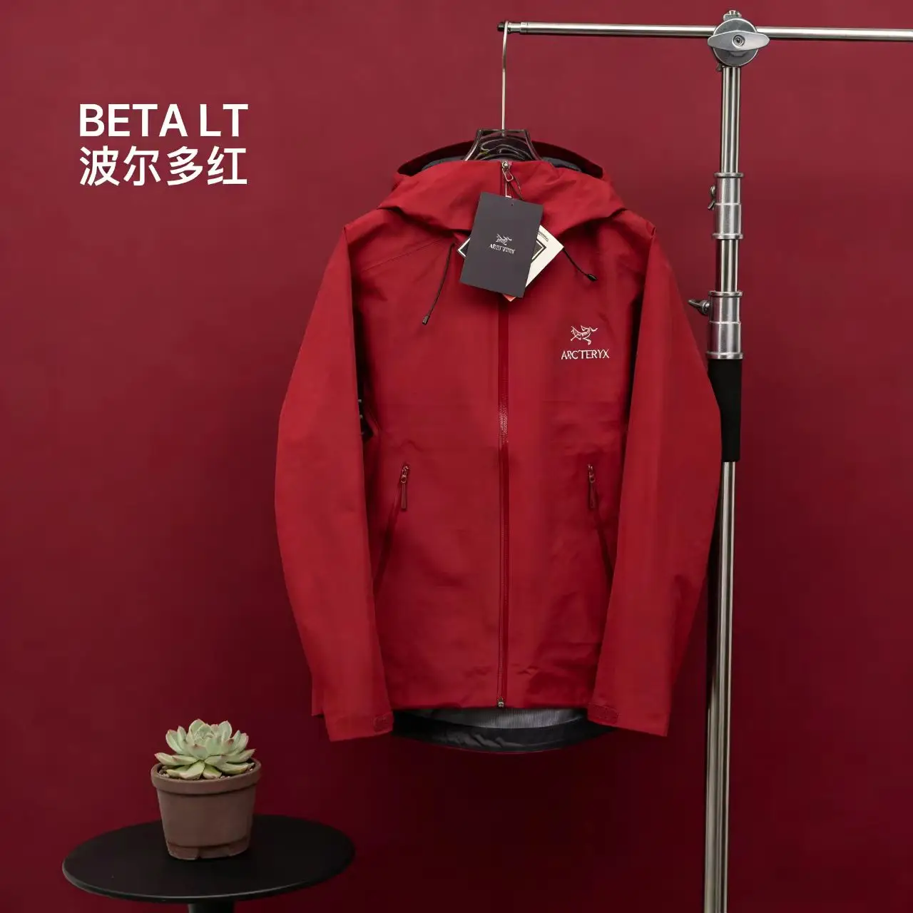 Beta LT GORE-TEX Hooded Shell Jacket D29022696 — view 11