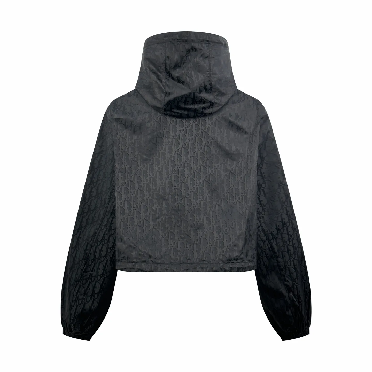 Oblique Jacquard Taffeta Cropped Hooded Jacket D33024777 — view 2