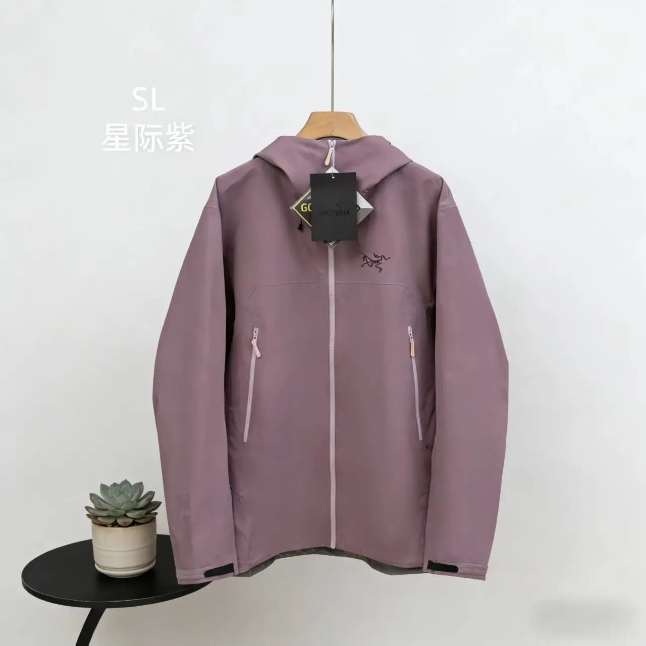 Beta SL GORE-TEX Shell Jacket D34022693 — view 4
