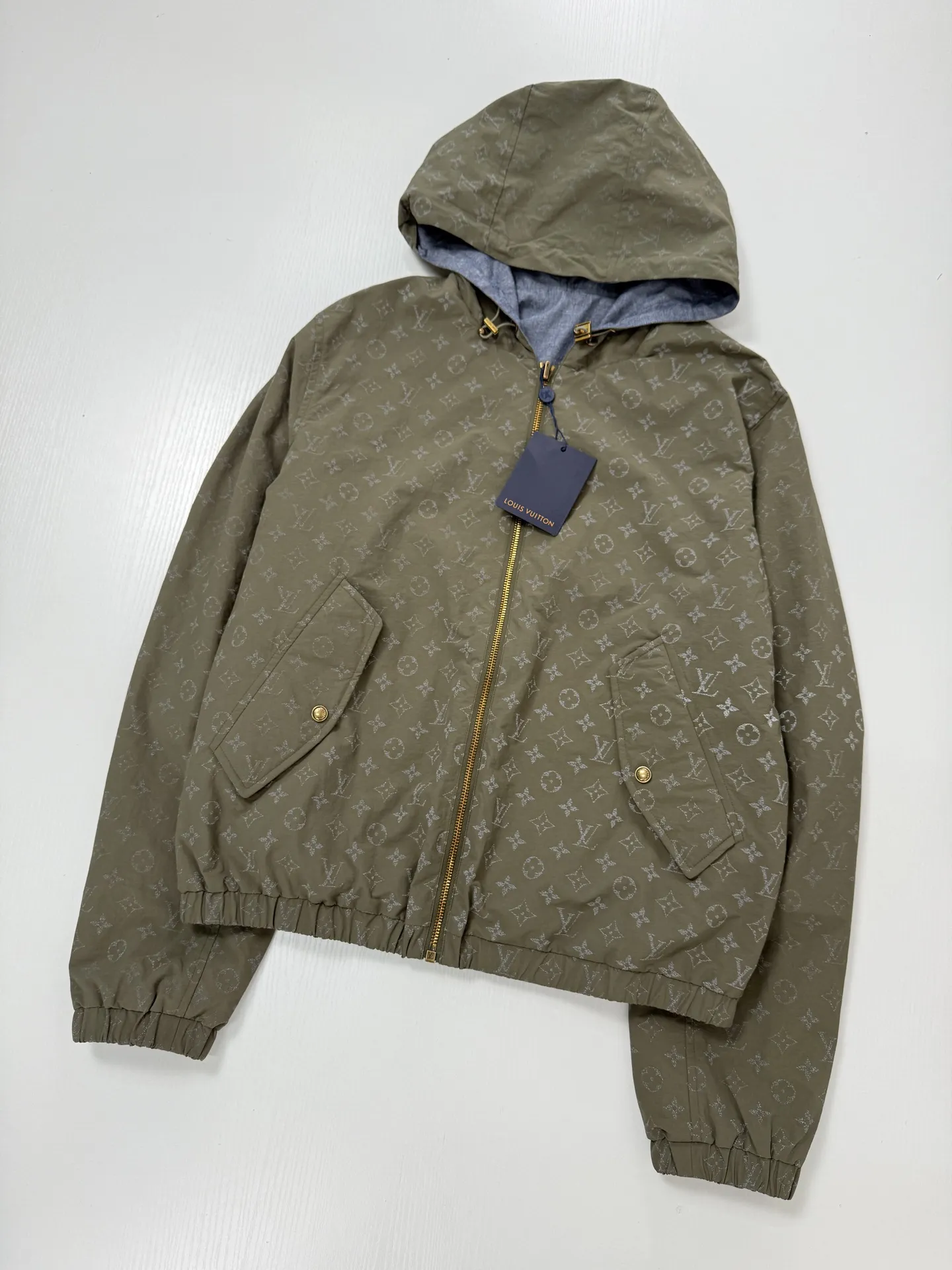 Reversible Monogram Reflective Hooded Jacket D34821246 — view 5