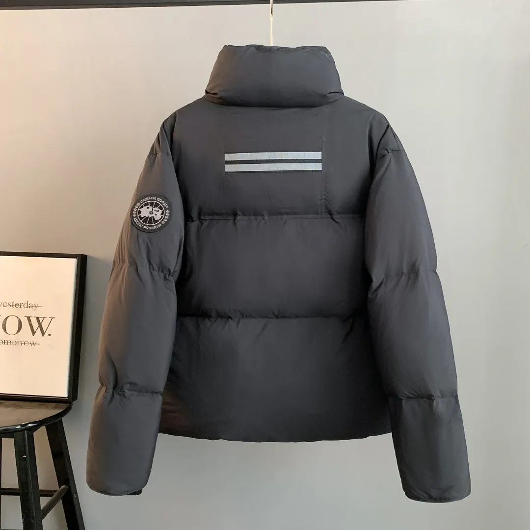 Lawrence Down-Filled Puffer Jacket D38024808 — view 2