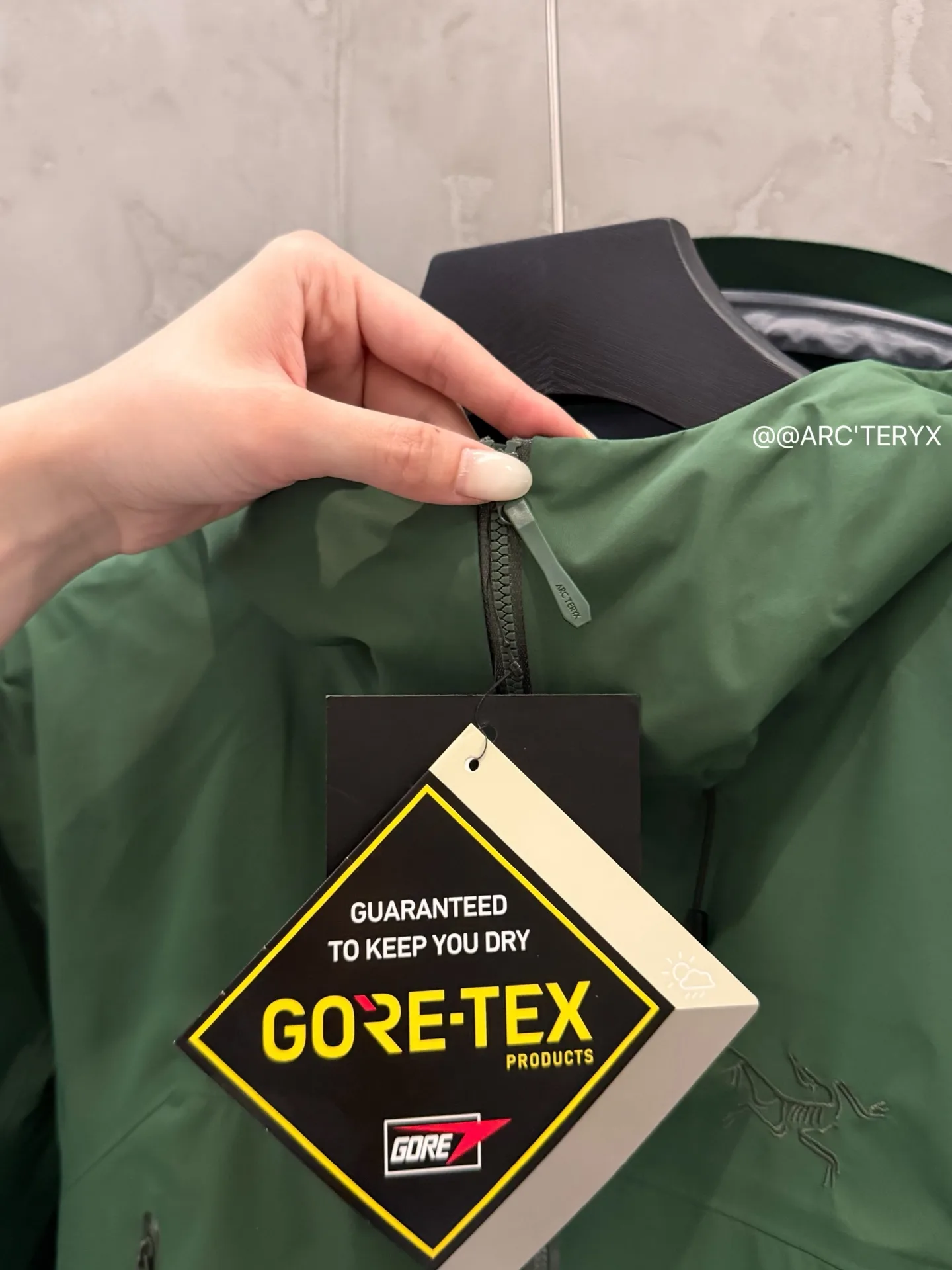 Beta SL GORE-TEX Hooded Shell Jacket D38024110 — view 5