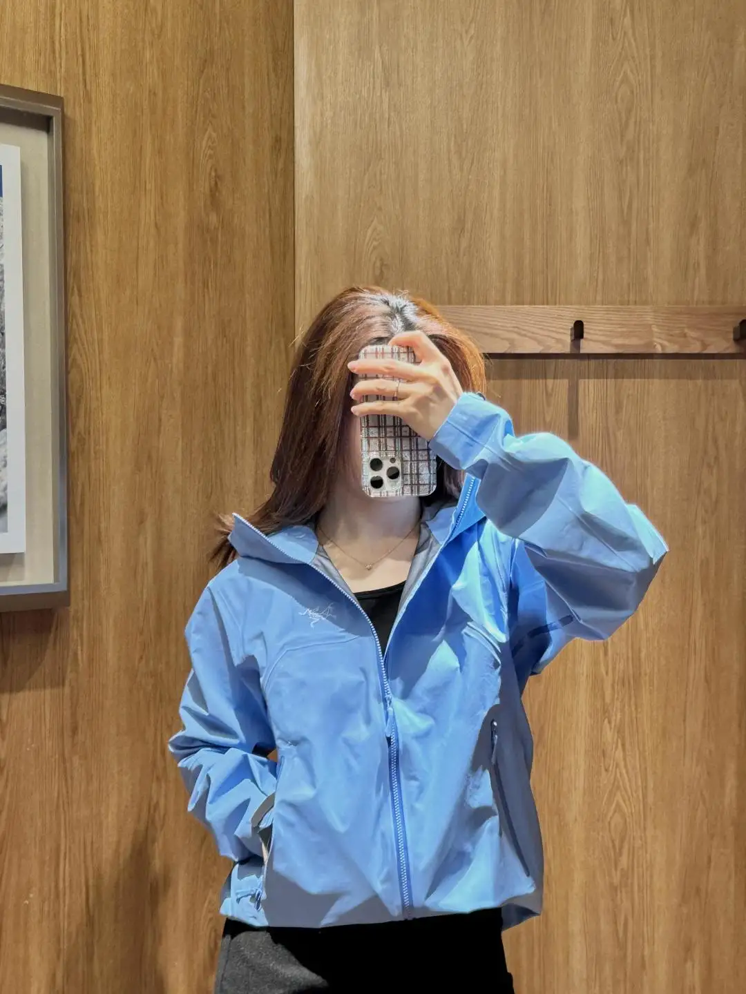 Beta SL GORE-TEX Hooded Shell Jacket D38024097 — view 4