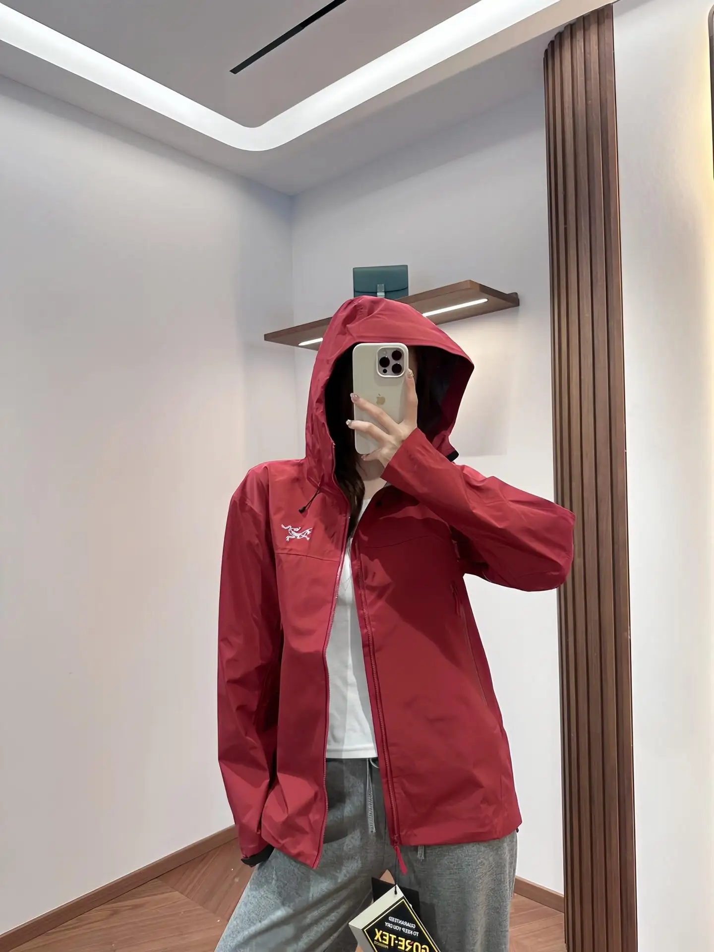 Beta SL GORE-TEX Hooded Shell Jacket D38024093 — view 3