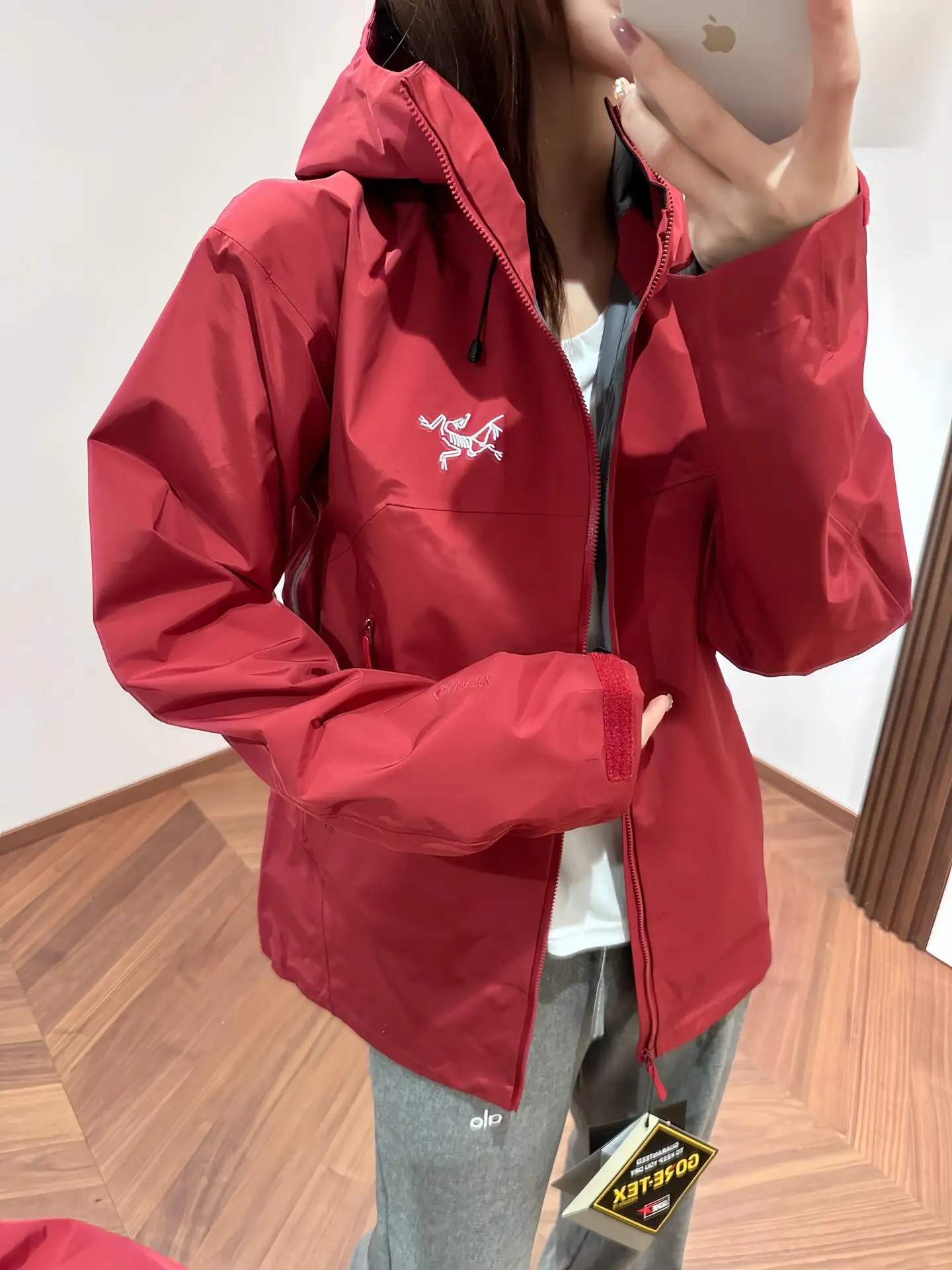 Beta SL GORE-TEX Hooded Shell Jacket D38024093 — view 4