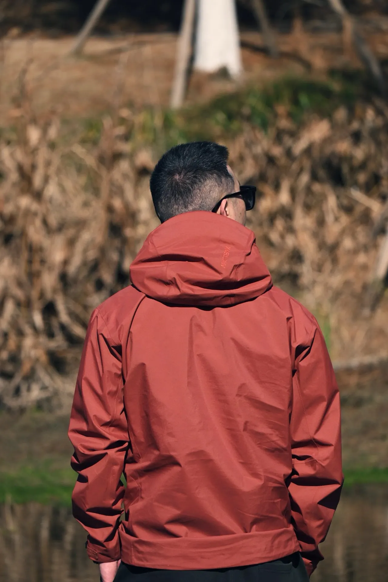 Beta SL GORE-TEX Hooded Shell Jacket D38024105 — view 7