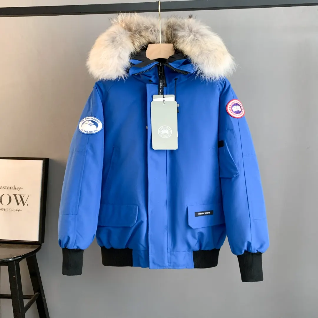 Chilliwack Fur-Trimmed Bomber Down Jacket D42024711