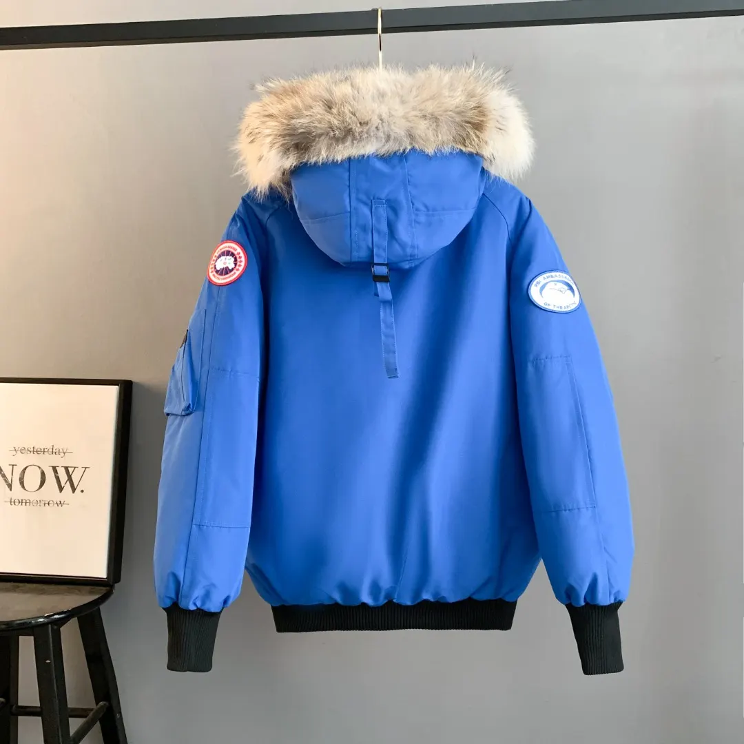 Chilliwack Fur-Trimmed Bomber Down Jacket D42024711 — view 2