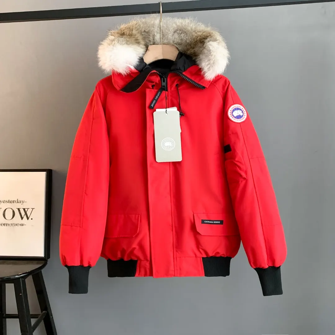Chilliwack Fur-Trimmed Bomber Down Jacket D42024710