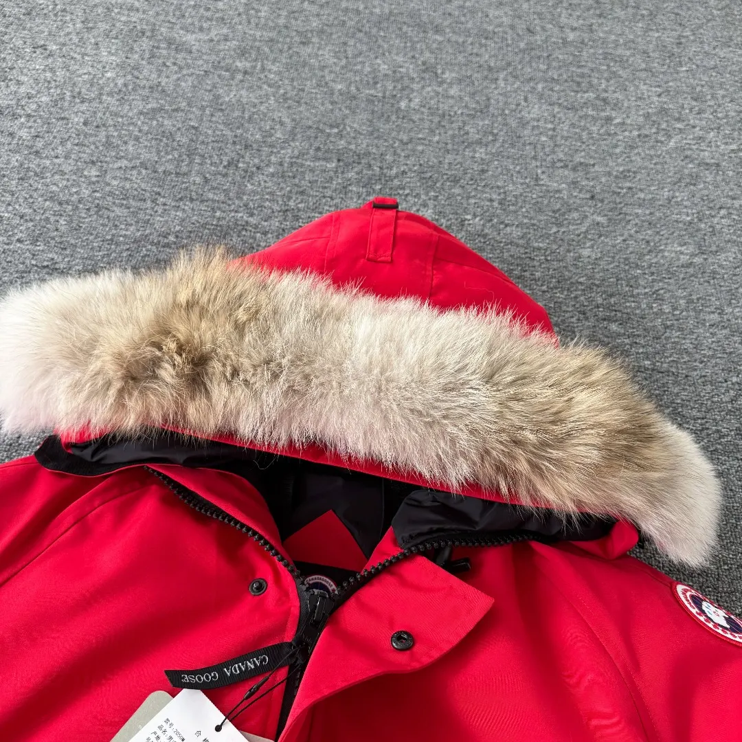 Chilliwack Fur-Trimmed Bomber Down Jacket D42024710 — view 3