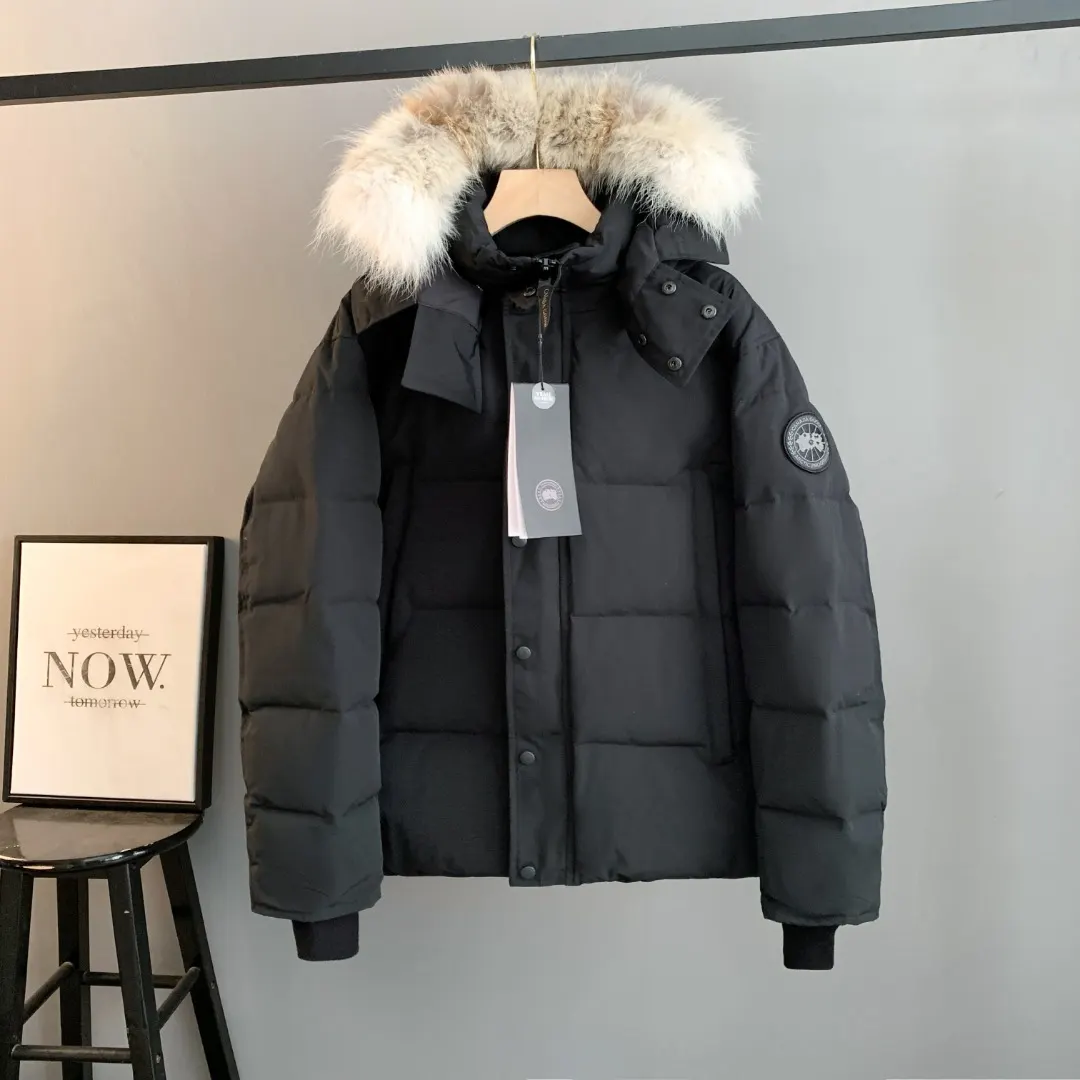 Wyndham Fur-Trimmed Down Parka D44024698