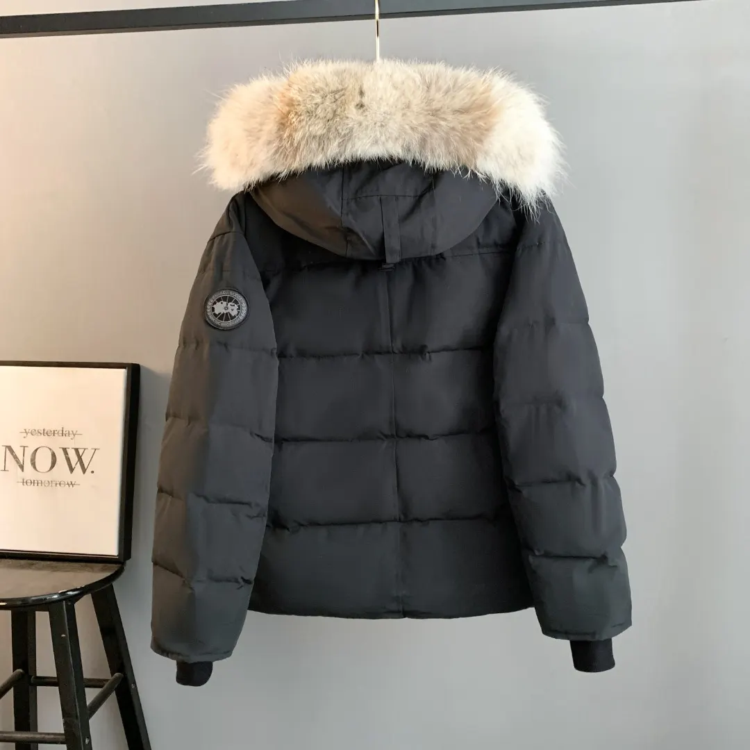 Wyndham Fur-Trimmed Down Parka D44024698 — view 2