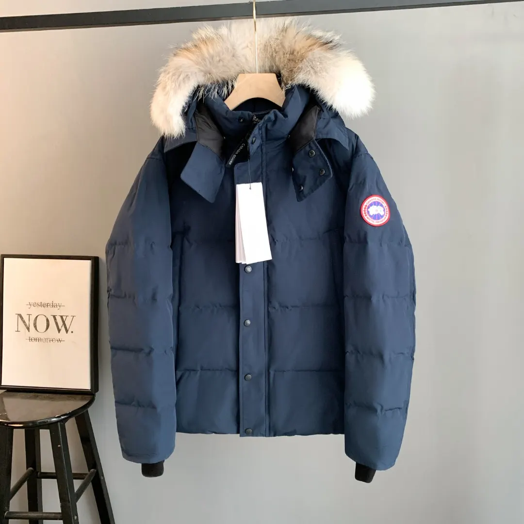 Wyndham Fur-Trimmed Down Parka D44024699
