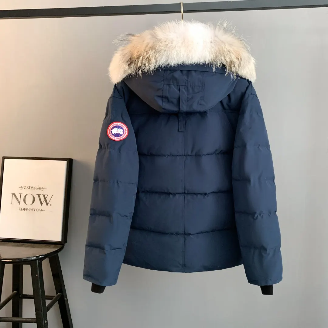 Wyndham Fur-Trimmed Down Parka D44024699 — view 2
