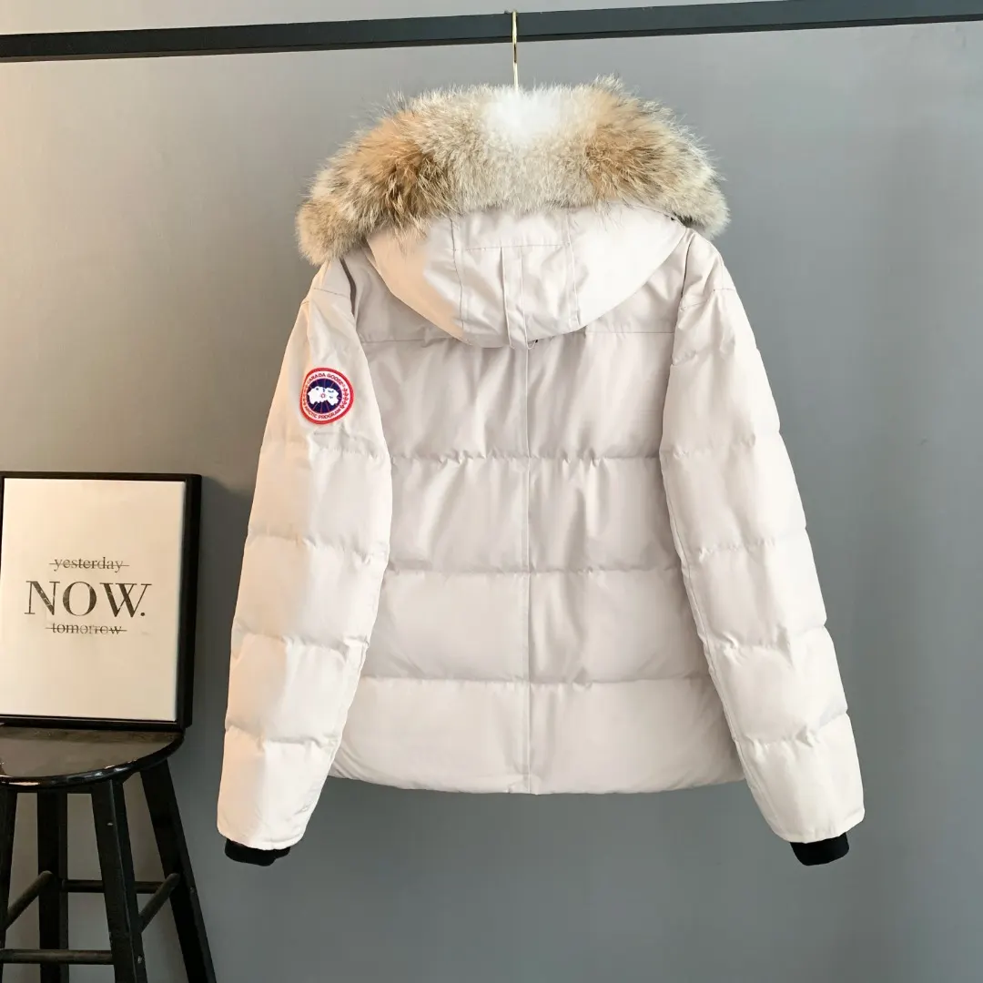 Wyndham Fur-Trimmed Down Parka D44024696 — view 2