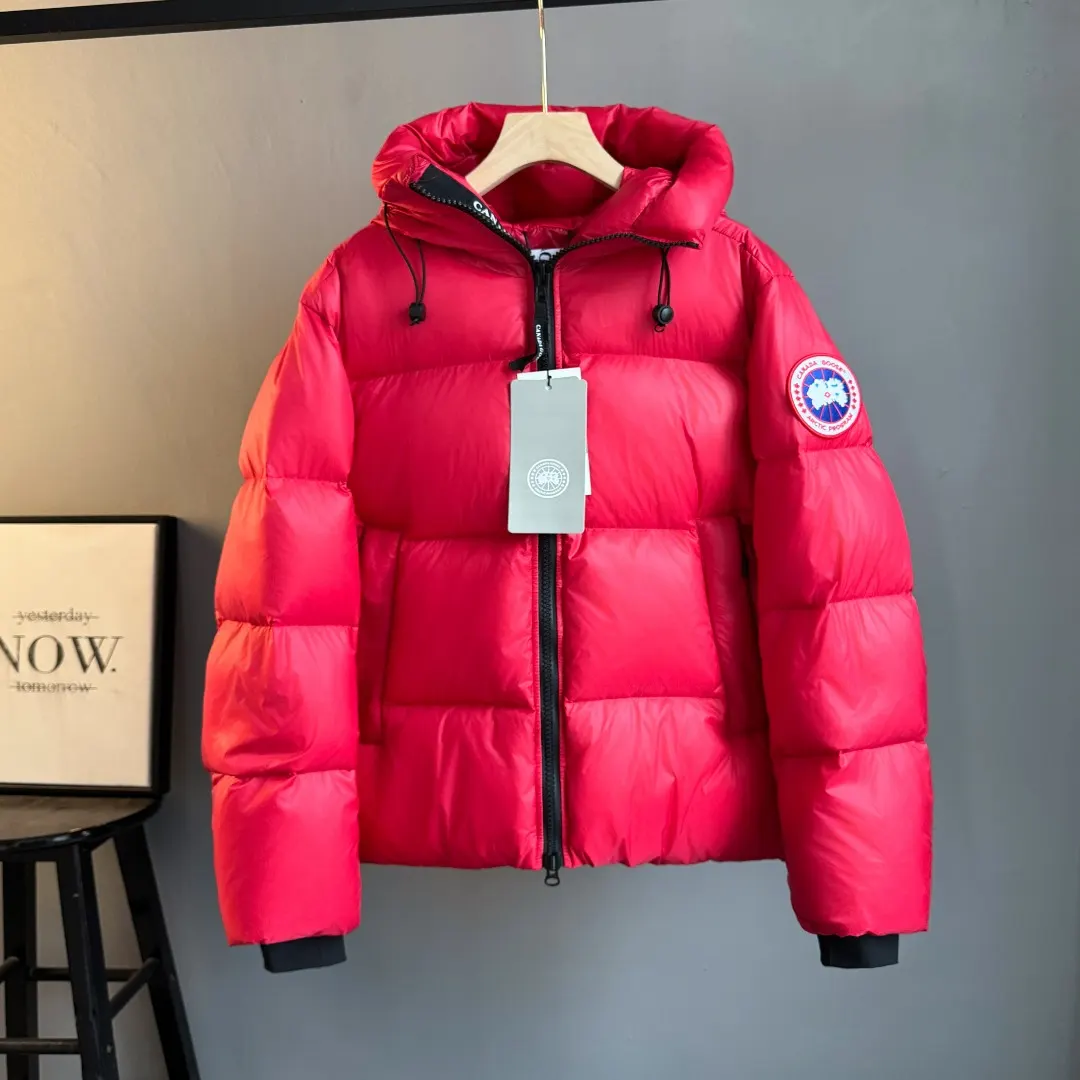 Crofton Hooded Down Puffer Jacket D45024847