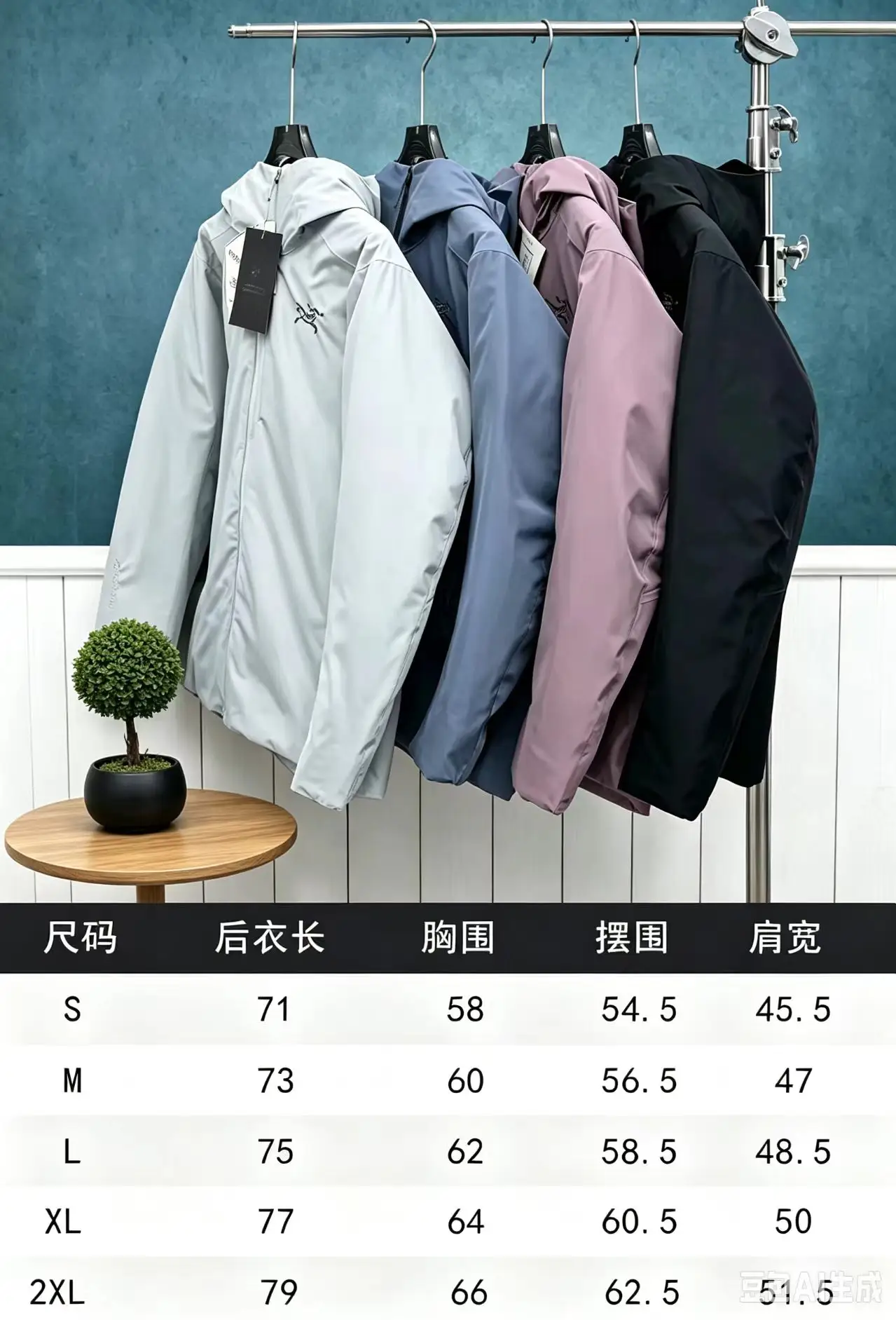 Solano GORE-TEX Down Hooded Jacket D50022660 — view 2