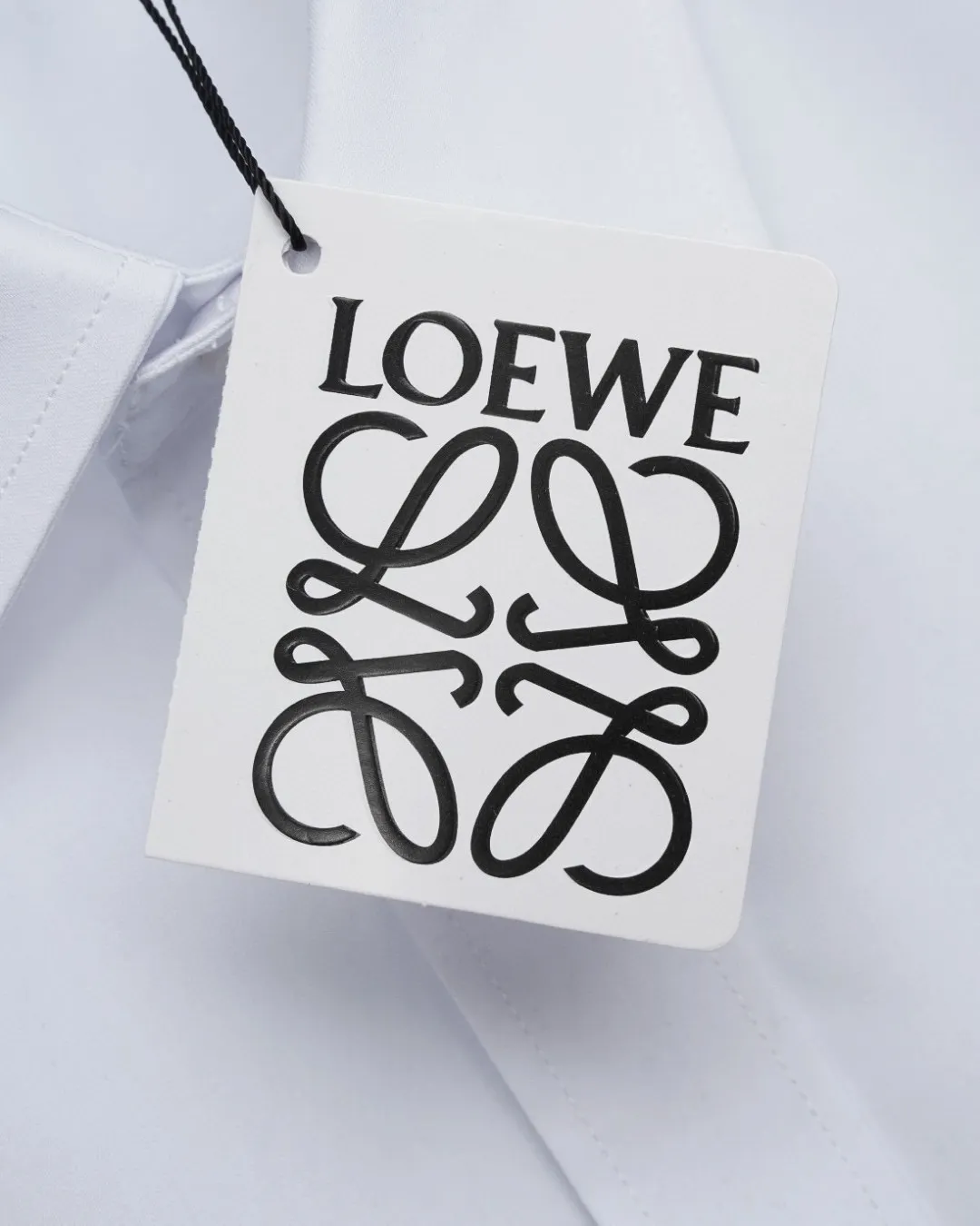 Anagram Logo Embroidered Cotton Shirt D17811729 — view 6
