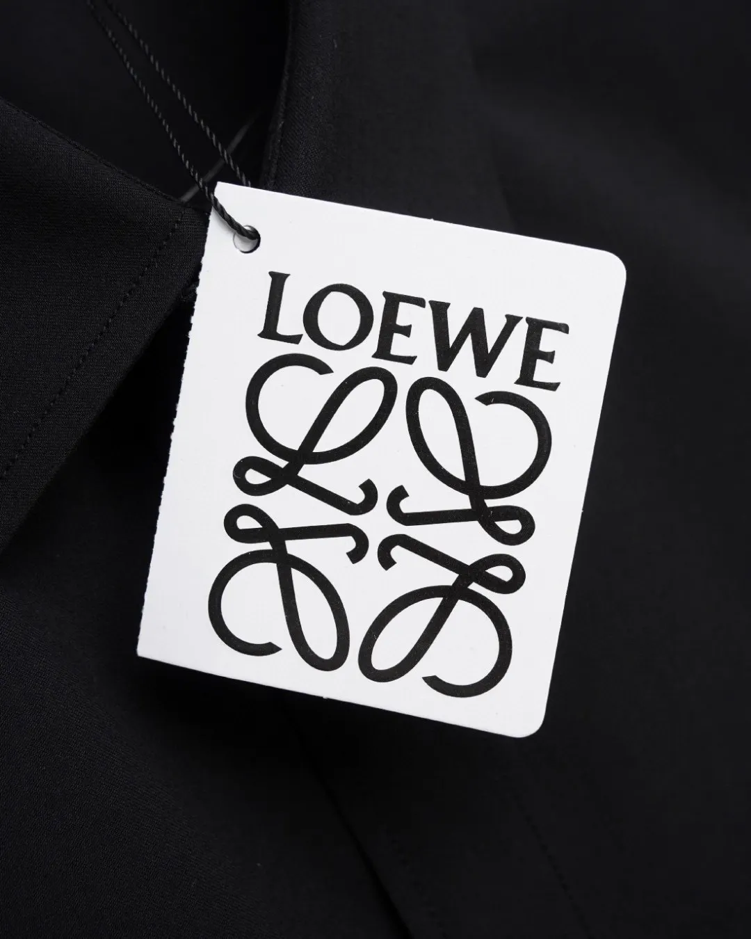 Logo Embroidery Long-Sleeve Shirt D17811724 — view 6