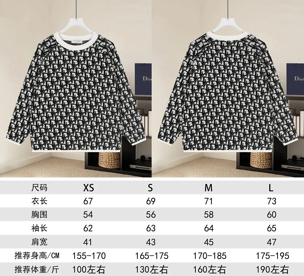 Oblique Jacquard Crew-Neck Sweater D20022928 — view 9
