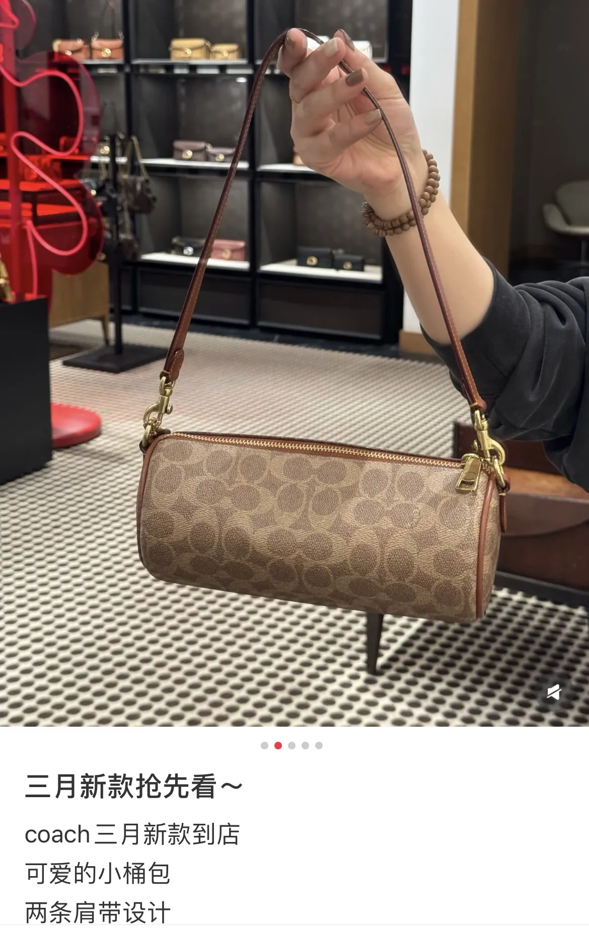 Monogram Cylinder Shoulder Bag D33018345 — view 9