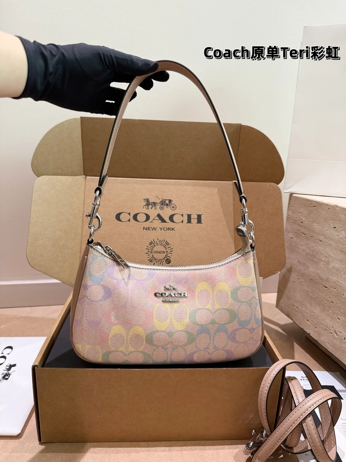 Coach Rainbow Signature Teri Shoulder Bag D30018173