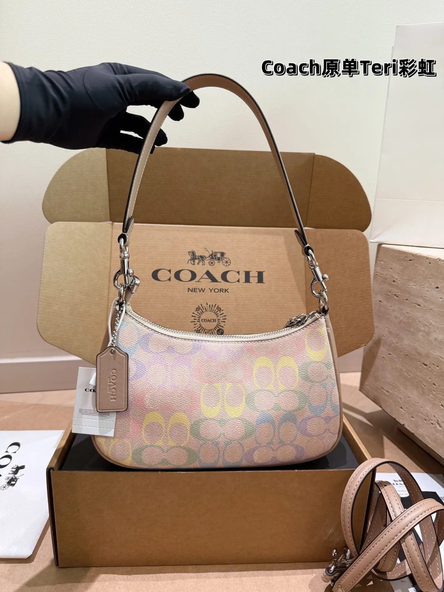 Coach Rainbow Signature Teri Shoulder Bag D30018173 — view 3