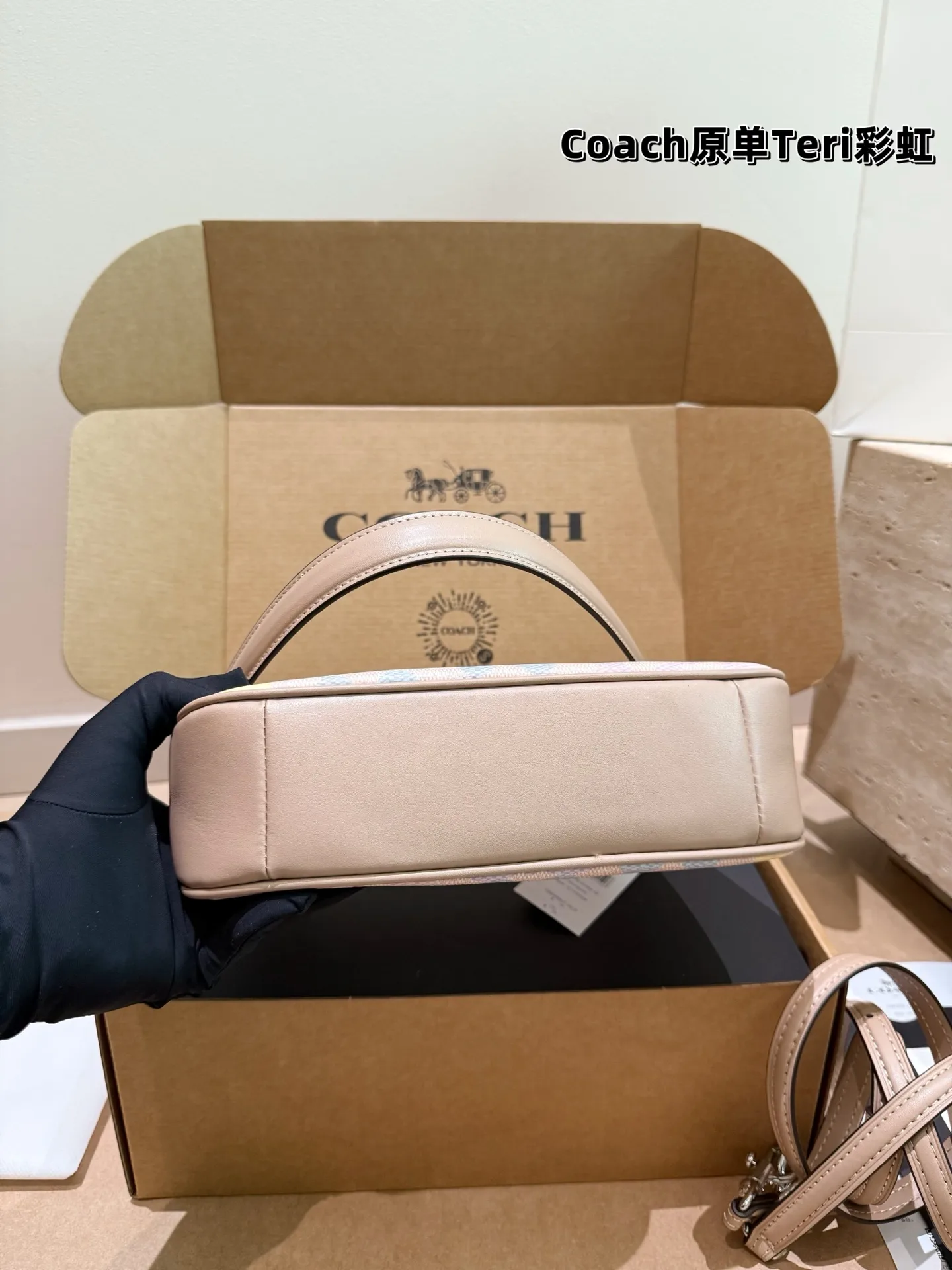 Coach Rainbow Signature Teri Shoulder Bag D30018173 — view 5