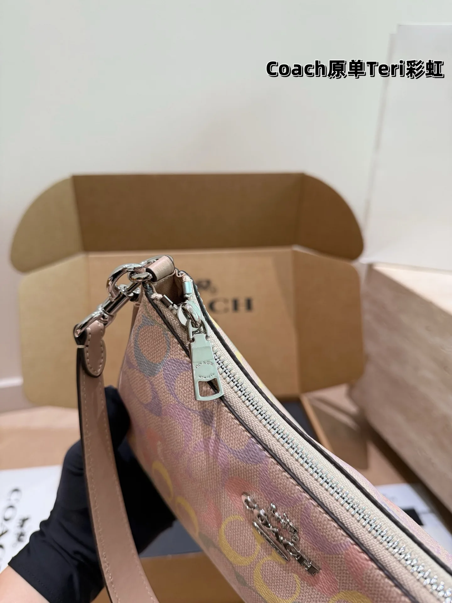 Coach Rainbow Signature Teri Shoulder Bag D30018173 — view 6