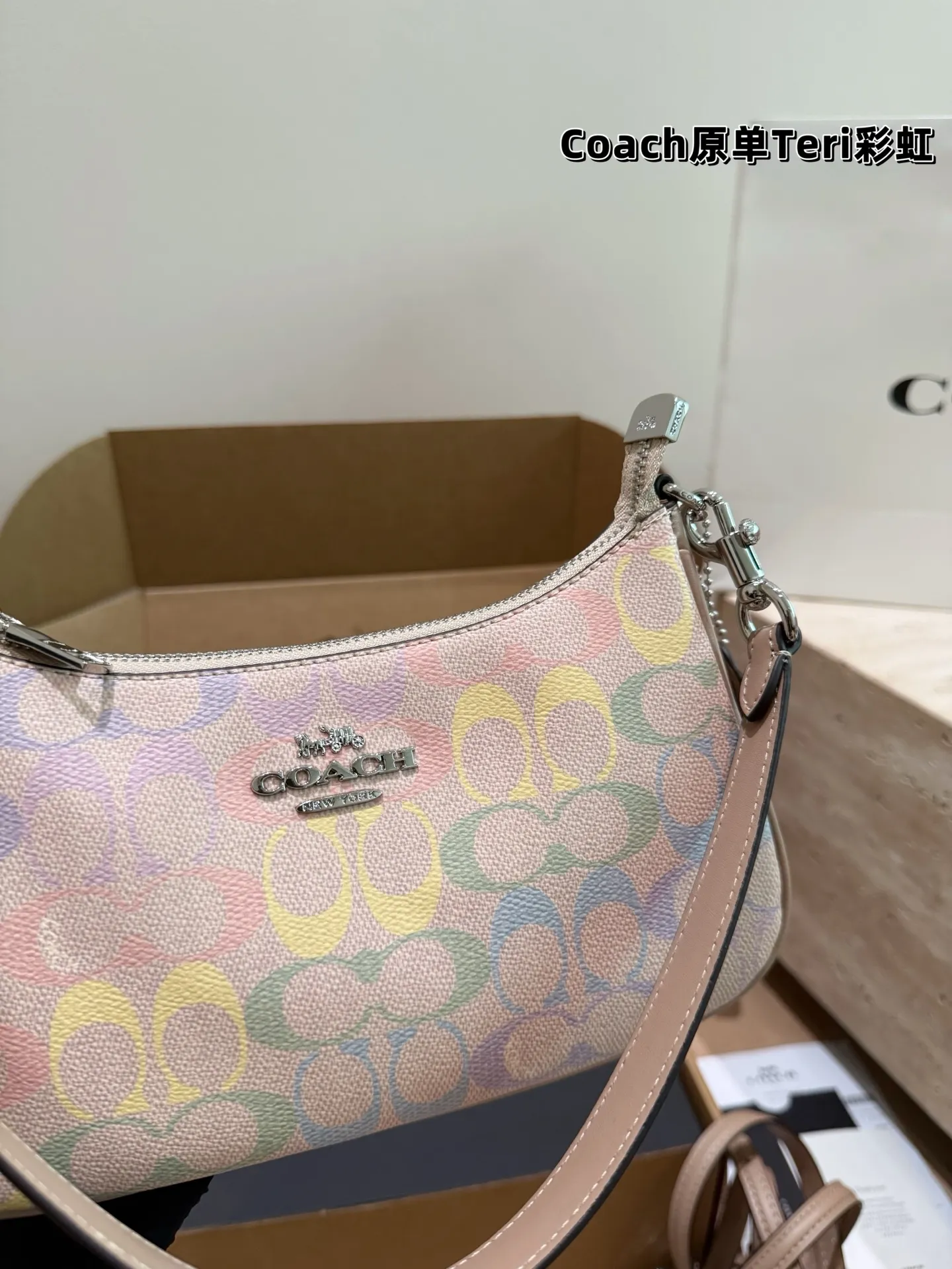 Coach Rainbow Signature Teri Shoulder Bag D30018173 — view 7