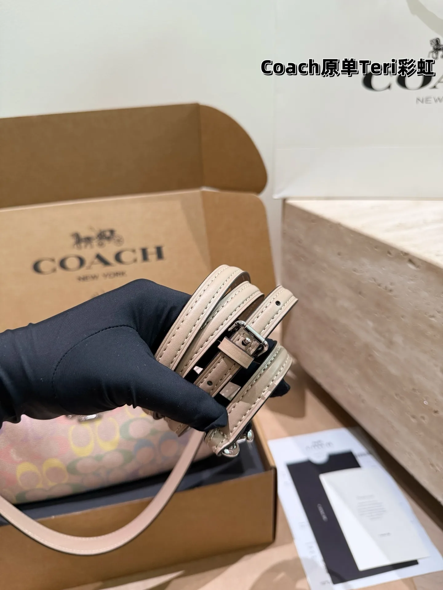 Coach Rainbow Signature Teri Shoulder Bag D30018173 — view 8