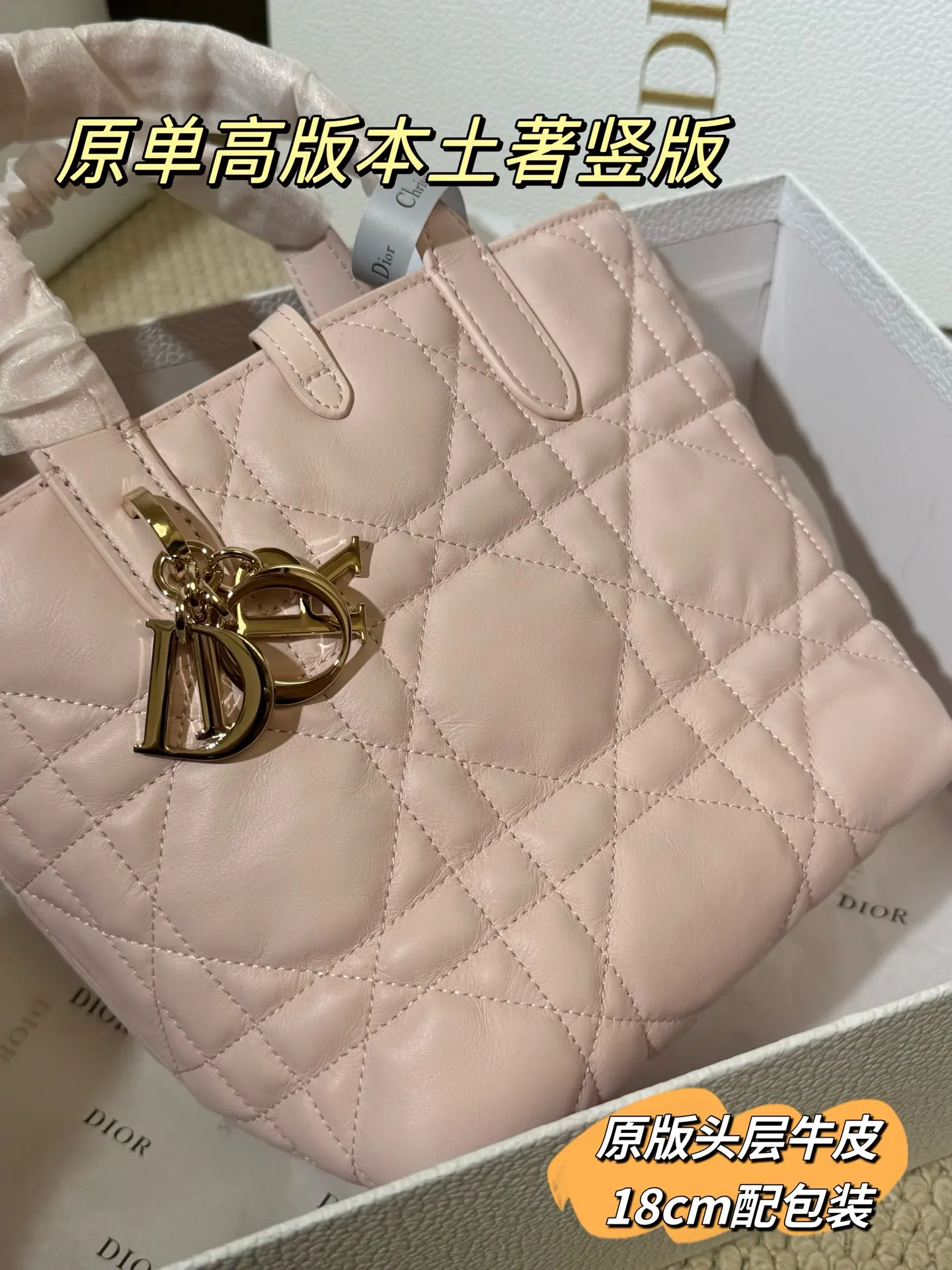Lady Dior Cannage Quilted Tote Bag D70018559 — view 5