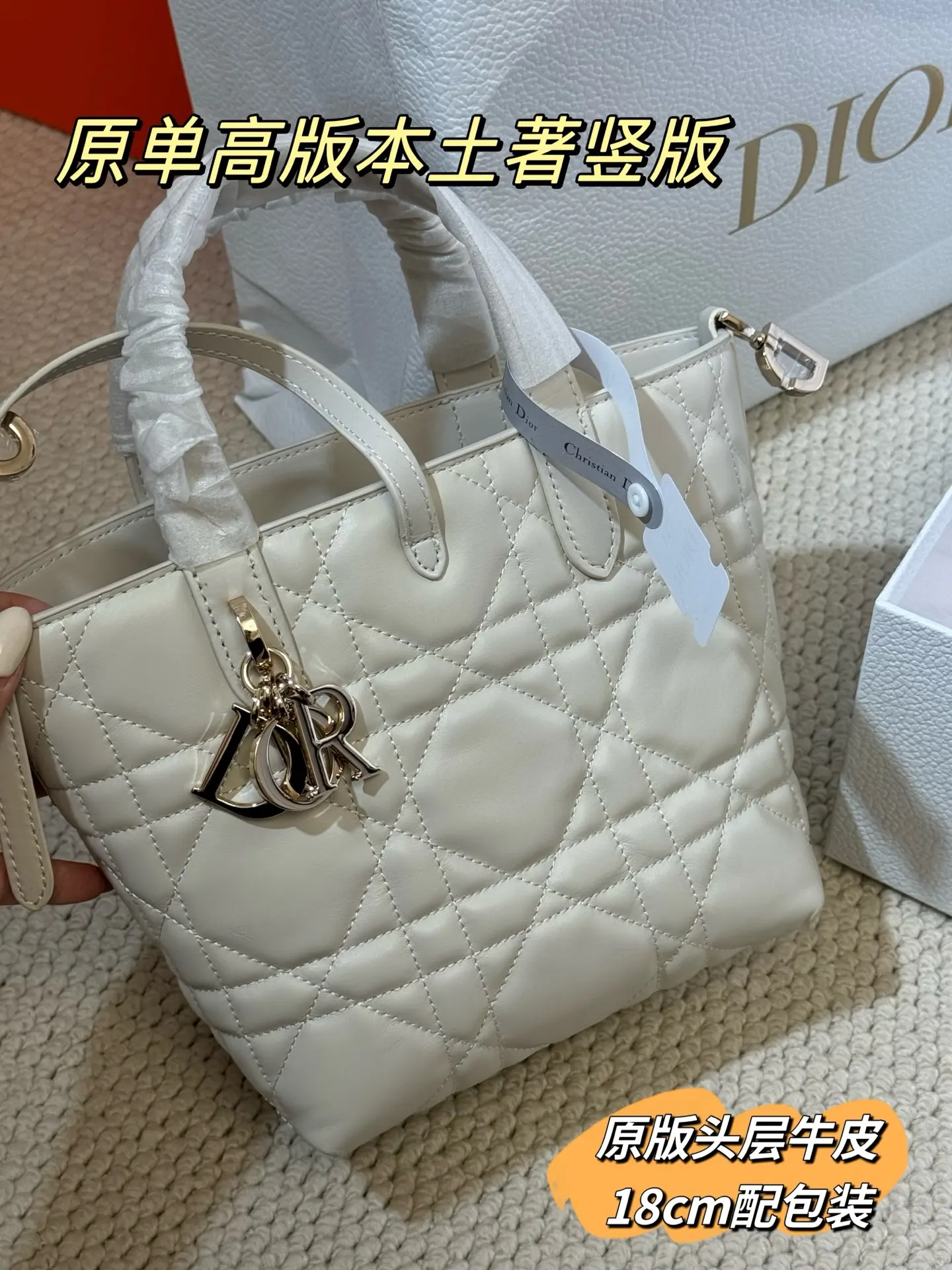 Lady Dior Cannage Quilted Tote Bag D70018559 — view 17