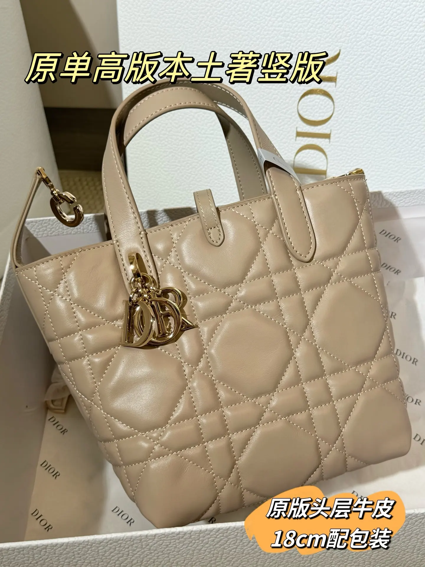 Lady Dior Cannage Quilted Tote Bag D70018559 — view 19