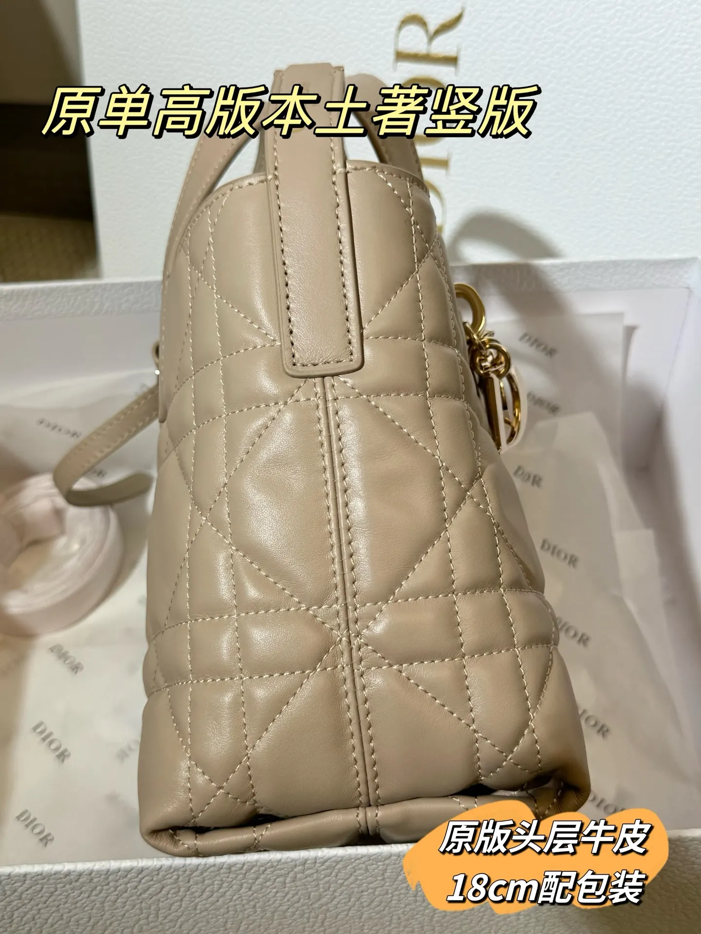 Lady Dior Cannage Quilted Tote Bag D70018559 — view 20
