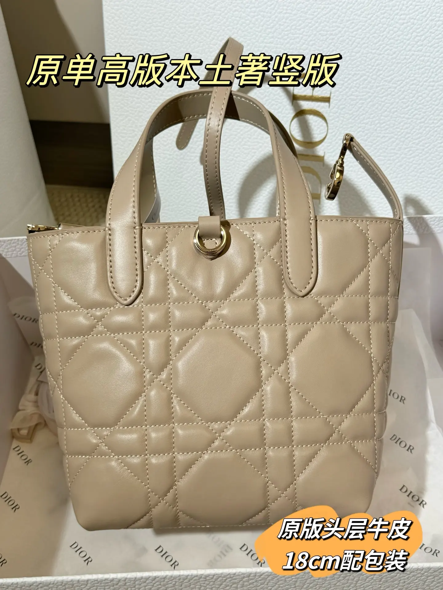 Lady Dior Cannage Quilted Tote Bag D70018559 — view 21